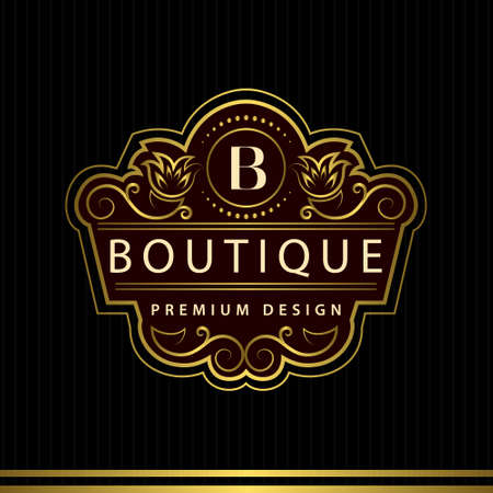 bijoux dessin Vector illustration de la conception de monogramme éléments, modèle gracieux. Calligraphique